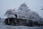 DSC00213.jpg