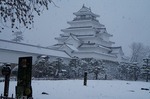 DSC00221.jpg