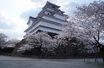 DSC00257.jpg