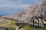 DSC00311.jpg