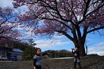 DSC00421.jpg