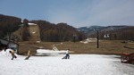 P1040950.jpg